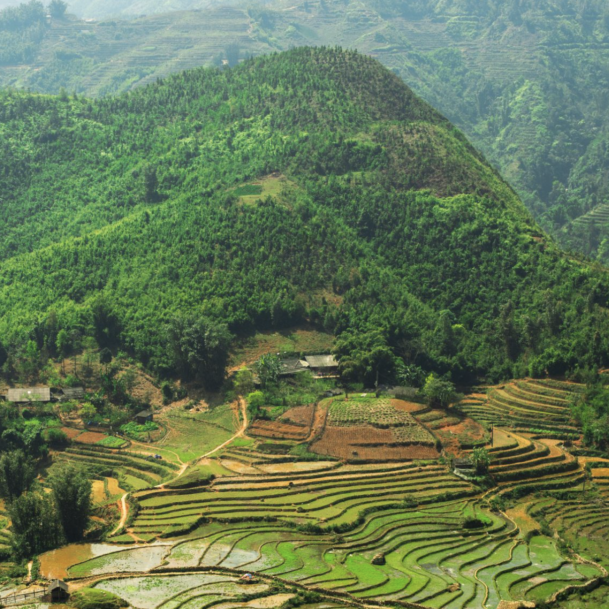 Vietnam Nature Vietnam Nature